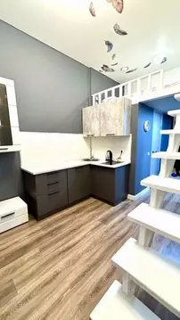 1-к кв. Москва аллея Первой Маевки, 15с1 (25.0 м)