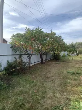 Дом в Калужская область, Дзержинский район, с. Дворцы ул. Федорова (70 ...