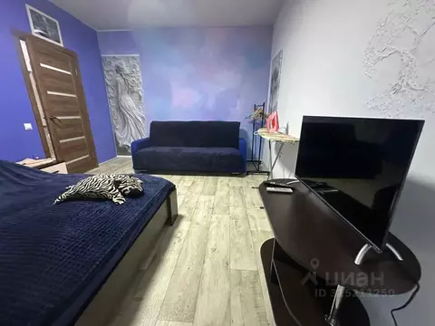 1-к кв. Ростовская область, Таганрог ул. Адмирала Крюйса, 23/8 (38.0 ...