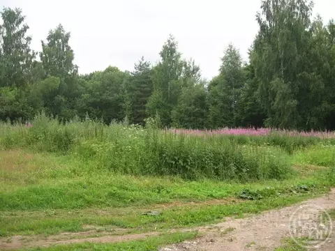 Участок в Ленинградская область, Лужский район, Ретюнское с/пос, д. ...