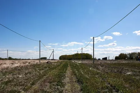 Участок в Тюменская область, Тюменский район, д. Большие Акияры  (8.7 ...
