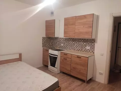 Студия Санкт-Петербург дор. Муринская, 12к2 (17.0 м)