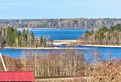 Участок в Новгородская область, Валдайское городское поселение, с. ...