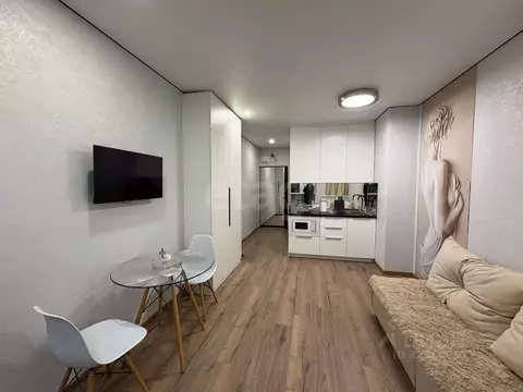 Студия Ростовская область, Ростов-на-Дону просп. Ленина, 46/2 (25.0 м)