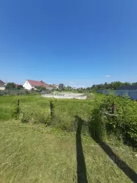 Участок в Татарстан, Бавлинский район, Кзыл-Ярское с/пос, д. Уба  ...