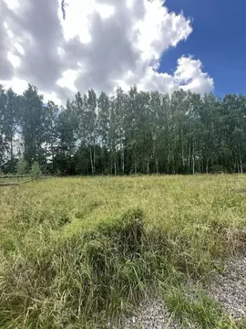 Участок в Свердловская область, Полевской муниципальный округ, с. ...