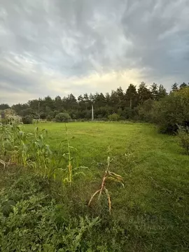 Участок в Татарстан, Лаишевский район, Никольское с/пос, д. Новая ...