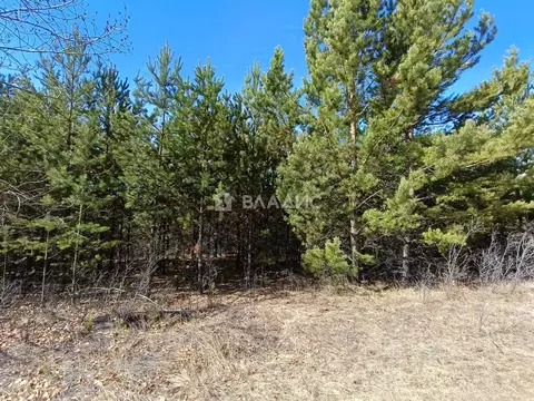 Участок в Забайкальский край, Читинский район, Атамановка пгт  (10.0 ...