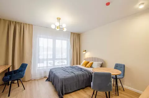 Студия Москва ул. Римского-Корсакова, 11к11 (23.4 м)