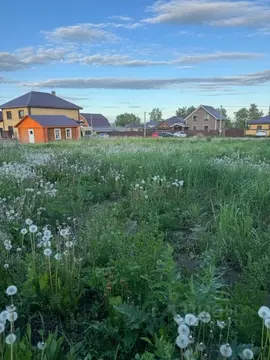 Участок в Татарстан, Лаишевский район, с. Сокуры ул. Кургузкина (16.88 ...