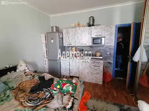 1к в 3-комнатной квартире (19 м)