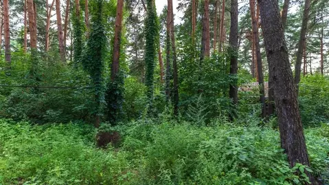 Участок в Московская область, Одинцовский городской округ, пос. ...
