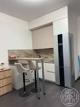 Студия Санкт-Петербург ул. Владимира Пчелинцева, 5 (24.32 м)