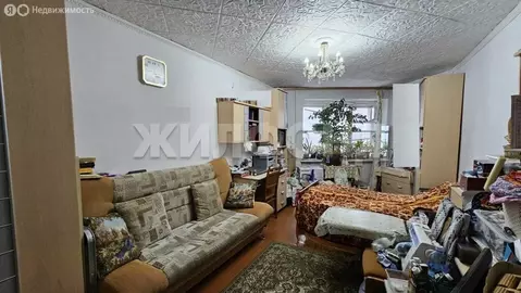 1-комнатная квартира: Новосибирск, улица Олеко Дундича, 25 (33.8 м)