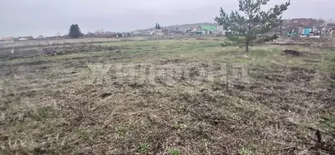 Участок в Воронежская область, Рамонский район, Новоживотинновское ...