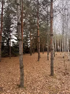 Участок в Саратовская область, Саратов ул. Имени Е.Г. Челиева, 10 ...