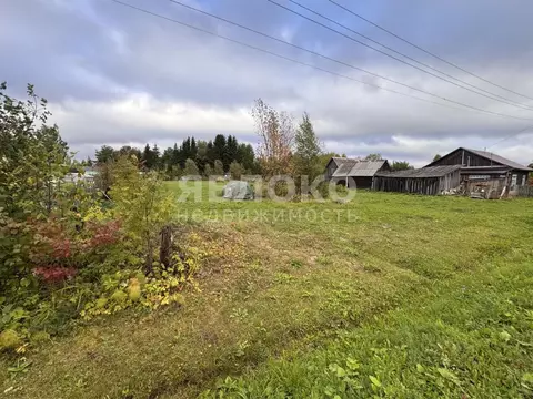 Участок в Пермский край, Березники муниципальный округ, д. Турлавы ул. ...