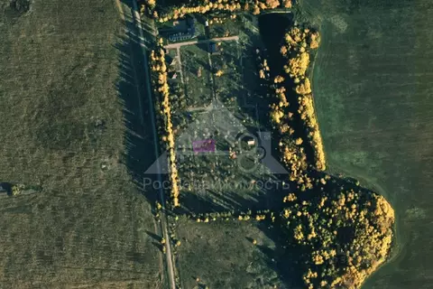 Участок в Владимирская область, Юрьев-Польский муниципальный округ, с. ...