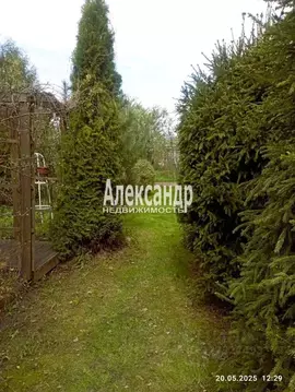 Дом в Ленинградская область, Выборг Портовик СНТ, 6-я линия (11 м)