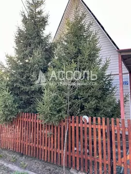 Дом в Омская область, Омский район, Богословское с/пос, Излучина СНТ ...