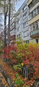 2-комнатная квартира: Кострома, улица Шагова, 152 (48 м)