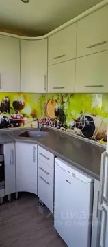 2-к кв. Новосибирская область, Новосибирск ул. Михаила Перевозчикова, ...