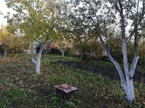 Дом в Челябинская область, Челябинск Нефтяник СНТ, ул. 13-я, 681 (20 ...