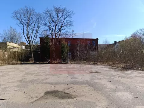 Помещение свободного назначения в Калининградская область, Черняховск ...
