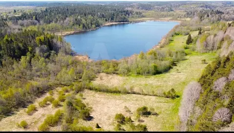 Участок в Карелия, Лахденпохский муниципальный округ, Куркиекское ...