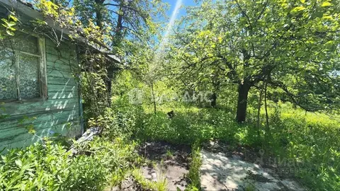 Участок в Пензенская область, Пенза Имени Мичурина завода ВЭМ садовое ...