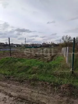 Участок в Воронежская область, Рамонский район, с. Новоживотинное ...