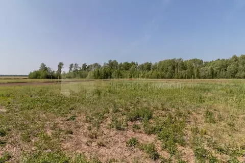 Участок в Тюменская область, Тюменский муниципальный округ, ...