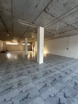 Помещение свободного назначения в Краснодарский край, Сочи ул. Мира, ...