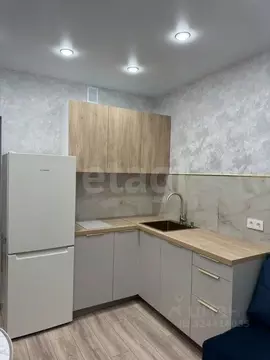 1-к кв. Новосибирская область, Новосибирск Ипподромская ул., 12 (40.0 ...