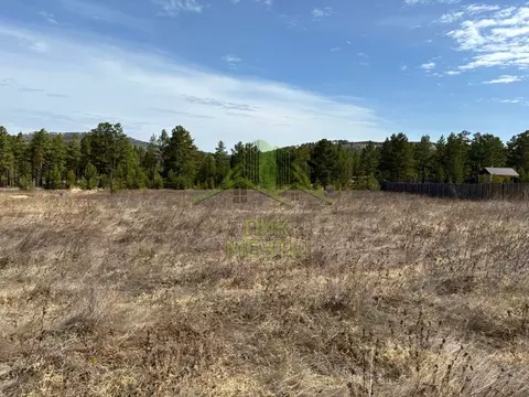 Участок в Бурятия, Тарбагатайский район, Саянтуйское с/пос, с. Нижний ...