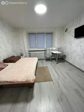 Квартира-студия: Самара, Шариковый переулок, 4 (20 м)