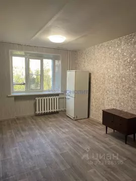 1-к кв. Нижегородская область, Нижний Новгород Березовская ул., 106 ...