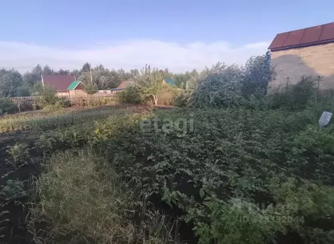 Дом в Башкортостан, Давлекановский район, с. Рассвет  (20 м)