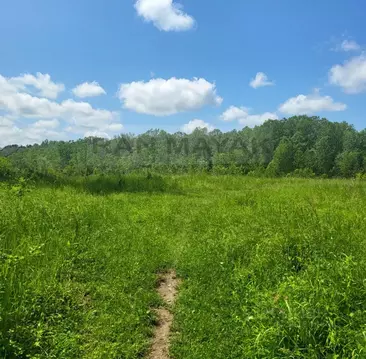 Участок в Адыгея, Майкопский район, пос. Тульский ул. Гагарина, 100А ...