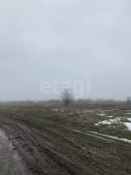 Участок в Ростовская область, Азов Азовский район, Х-Виллаж кп, ул. ...