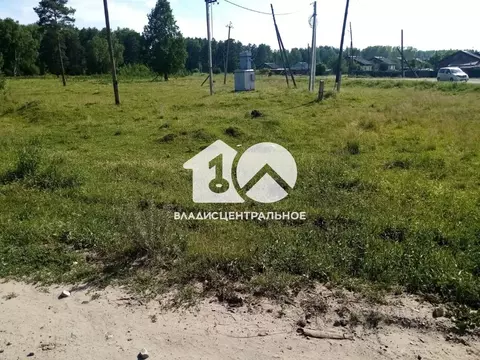 Участок в Новосибирская область, Мошковский район, с. Белоярка  (9.0 ...