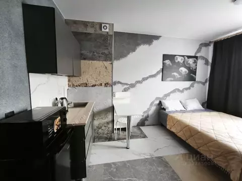 Студия Ленинградская область, Всеволожск Степной просп., 16к5 (20.4 м)