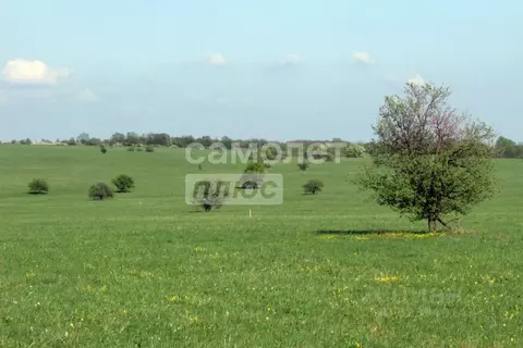 Участок в Челябинская область, Октябрьский муниципальный округ, ...