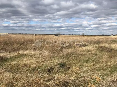 Участок в Тюменская область, Тюменский муниципальный округ, д. ...