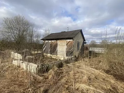 Участок в Ленинградская область, Лужский район, Скребловское с/пос, д. ...