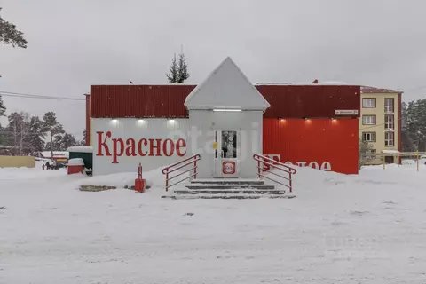 Торговая площадь в Тюменская область, Тюменский муниципальный округ, ...