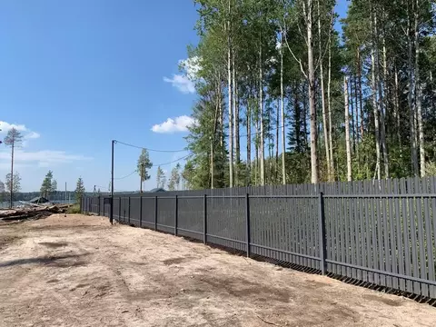 Участок в Ленинградская область, Выборгский район, Приморское ...
