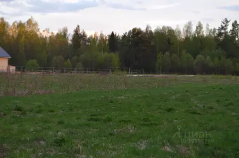 Участок в Новгородская область, Новгородский район, Савинское с/пос, ...