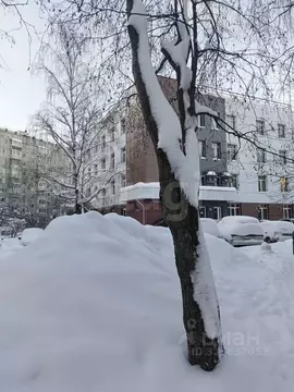 Офис в Коми, Сыктывкар Коммунистическая ул., 48/2 (35 м)