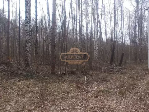 Участок в Ленинградская область, Всеволожский район, Бугровское ...